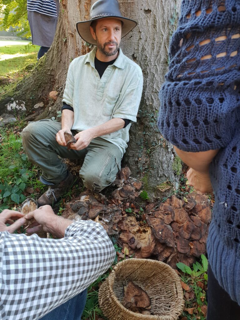 Fergus The Forager & Friends 32