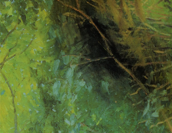 Wild Ways of Being with Fergus Drennan